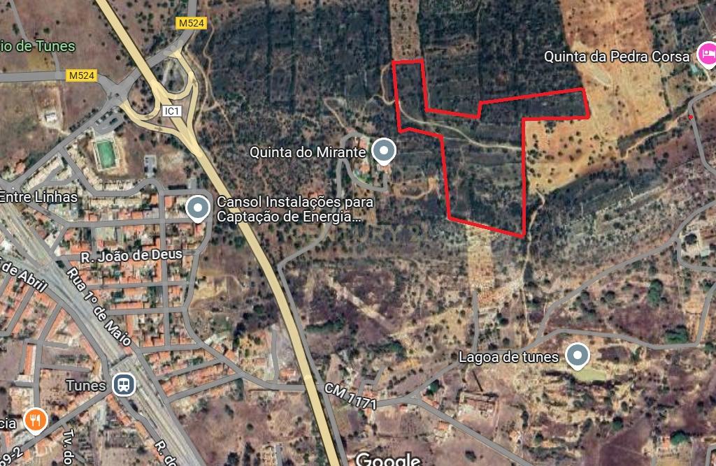 Terreno Agrícola em Gateiras - Localização Privilegiada - Image 2
